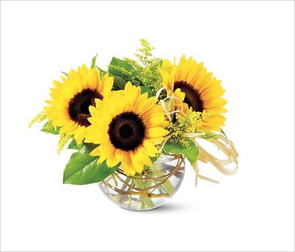 Hoa hướng dương vàng tươi